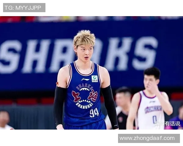 王哲林在篮球赛场的崛起与挑战解析他的职业生涯与未来发展方向