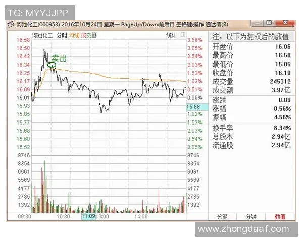 杭州乒乓球队战术解析：构建高效控制体系的策略与实践